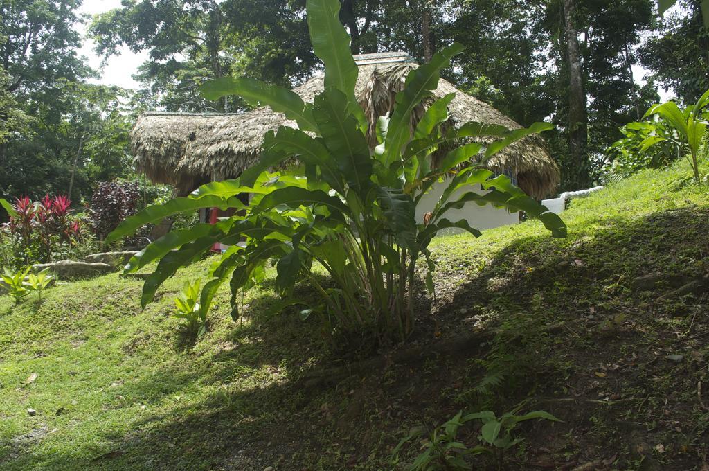 La Magia Bungalows Puerto Viejo de Talamanca Exterior foto